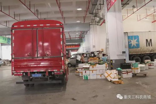 風雨同舟，共抗疫情——三科農商城為重慶抗疫加油，與大家共渡難關